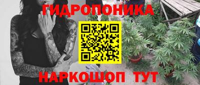 шишки Рузаевка