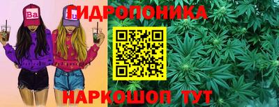 шишки Рузаевка