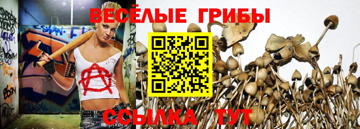 Псилоцибиновые грибы прущие грибы Нурлат