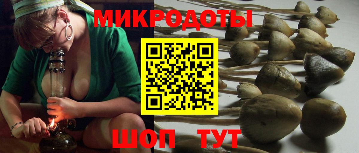 Галлюциногенные грибы Psilocybe  Псилоцибиновые грибы ЛСД  Нурлат  цены наркотик  Вход с VPN 
